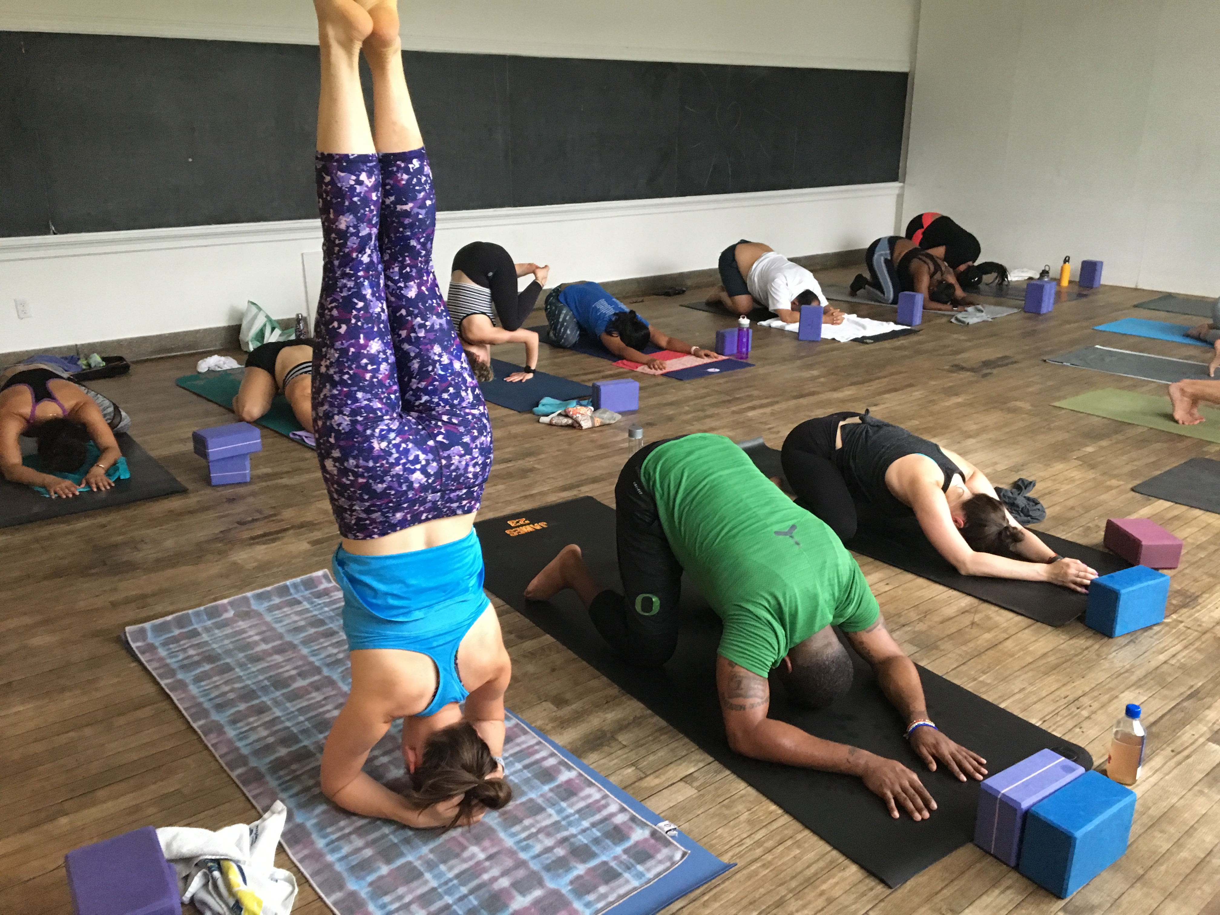 Full group yoga class in session